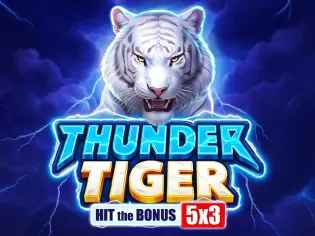 Thunder Tiger game cover